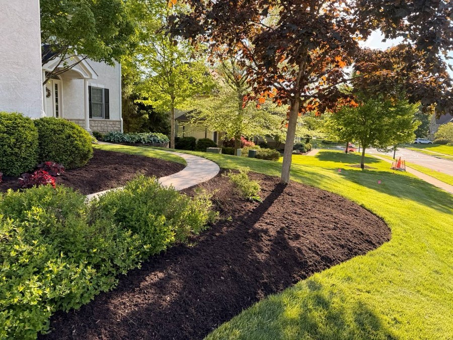 Fresh dark mulch installed around a clean landscape bed