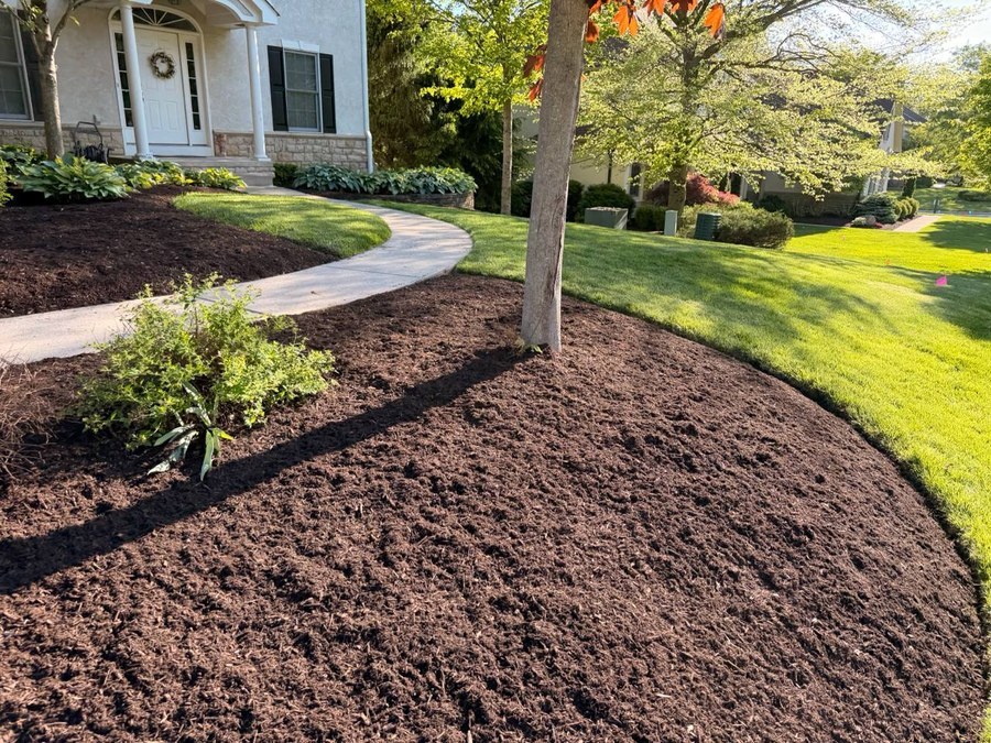 Landscape refresh with dark mulch and green curb appeal
