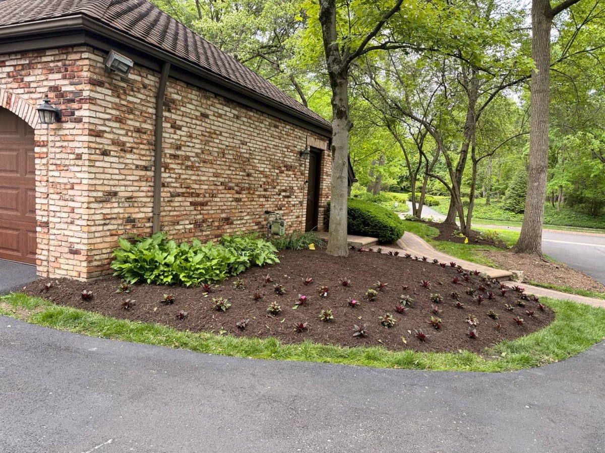 Finished mulch bed with clean edges and refreshed presentation